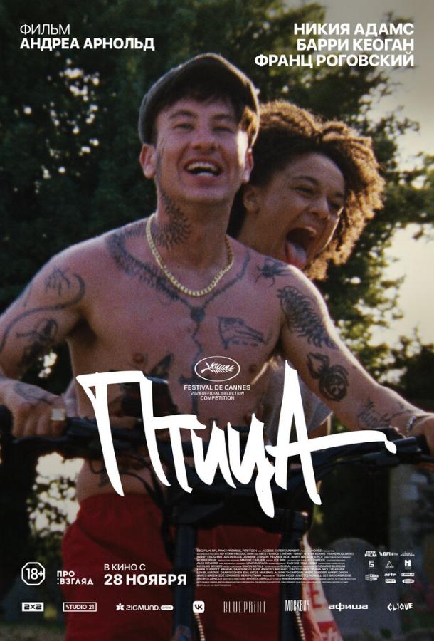 Фильм Птица (2024) смотреть онлайн бесплатно в хорошем качестве